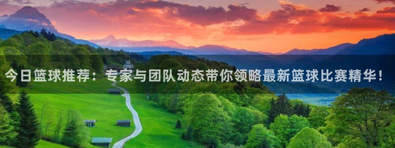 今日篮球推荐：专家与团队动态带你领略最新篮球比赛精华！