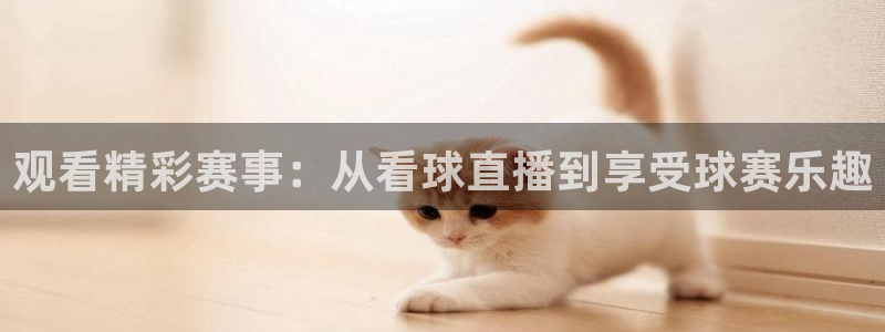 观看精彩赛事：从看球直播到享受球赛乐趣