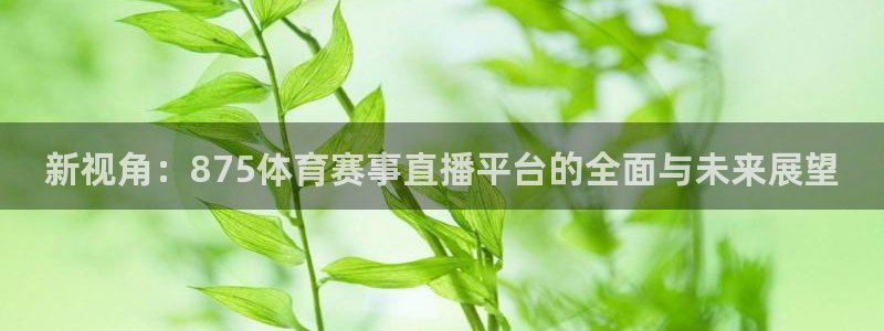 新视角：875体育赛事直播平台的全面与未来展望