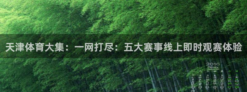 天津体育大集：一网打尽：五大赛事线上即时观赛体验