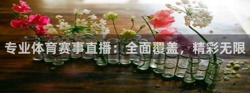 专业体育赛事直播：全面覆盖，精彩无限