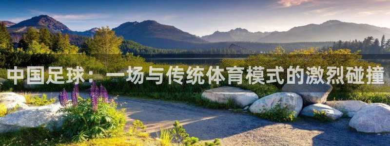 中国足球：一场与传统体育模式的激烈碰撞