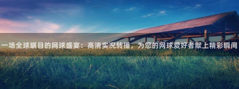 一场全球瞩目的网球盛宴：高清实况转播，为您的网球爱好者献上精彩瞬间