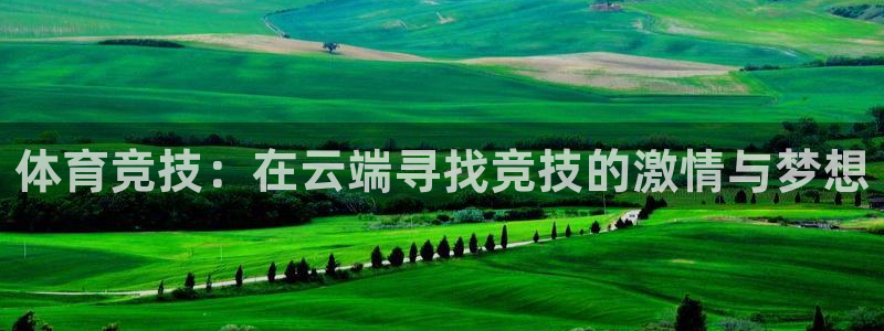 体育竞技：在云端寻找竞技的激情与梦想