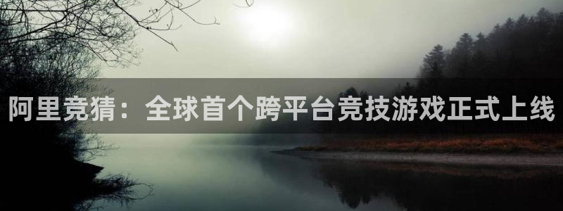 阿里竞猜：全球首个跨平台竞技游戏正式上线