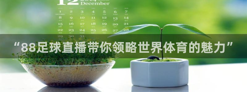“88足球直播带你领略世界体育的魅力”