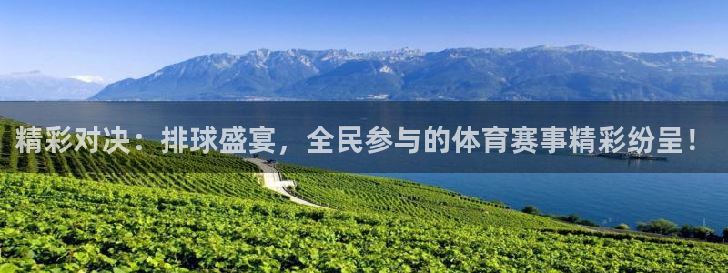 精彩对决：排球盛宴，全民参与的体育赛事精彩纷呈！