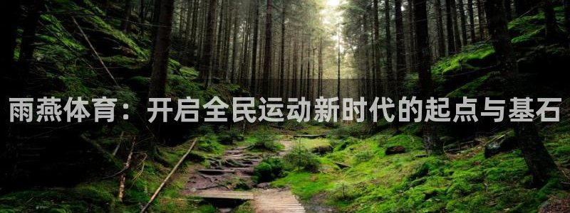 雨燕体育：开启全民运动新时代的起点与基石