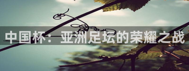中国杯：亚洲足坛的荣耀之战