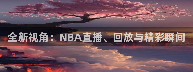 全新视角：NBA直播、回放与精彩瞬间