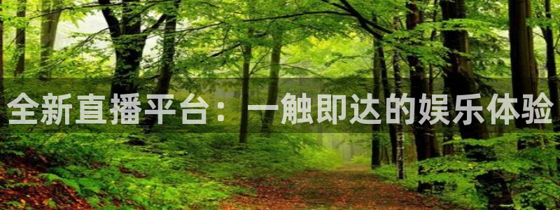全新直播平台：一触即达的娱乐体验