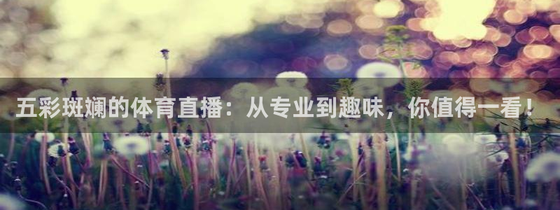 五彩斑斓的体育直播：从专业到趣味，你值得一看！