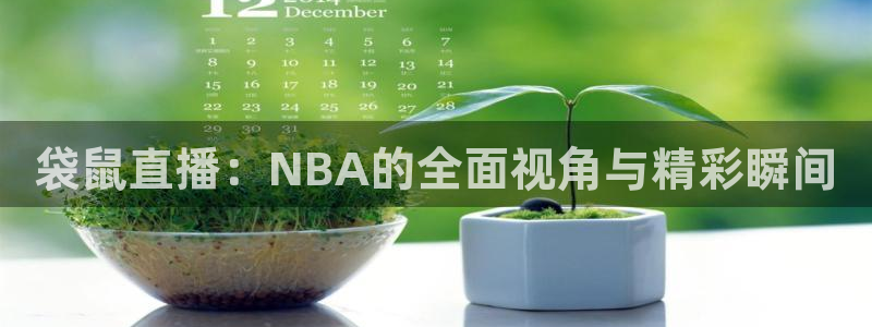 袋鼠直播：NBA的全面视角与精彩瞬间