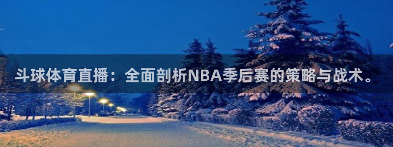斗球体育直播：全面剖析NBA季后赛的策略与战术。