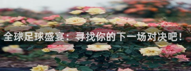 全球足球盛宴：寻找你的下一场对决吧！