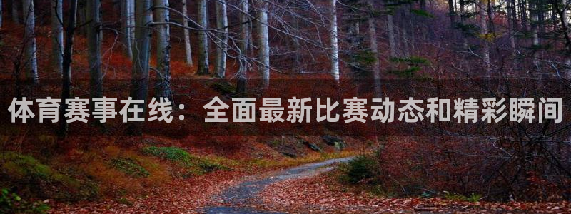 体育赛事在线：全面最新比赛动态和精彩瞬间