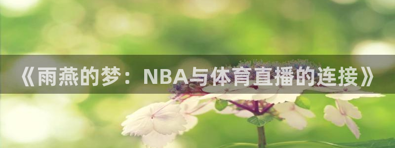 《雨燕的梦：NBA与体育直播的连接》