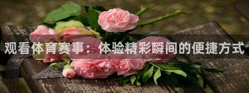 观看体育赛事：体验精彩瞬间的便捷方式