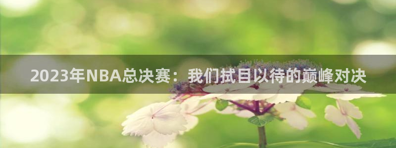 2023年NBA总决赛：我们拭目以待的巅峰对决