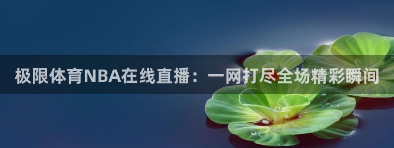 极限体育NBA在线直播：一网打尽全场精彩瞬间
