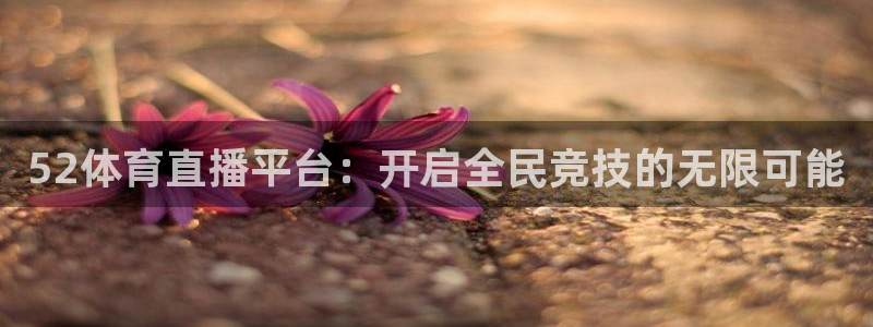 52体育直播平台：开启全民竞技的无限可能