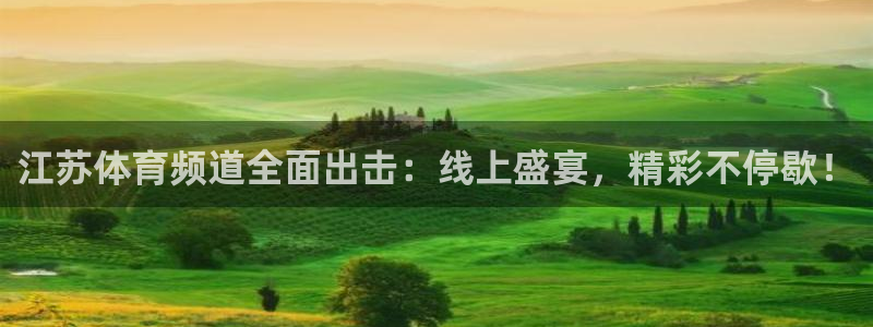 江苏体育频道全面出击：线上盛宴，精彩不停歇！