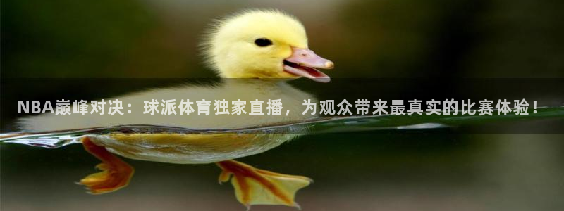 NBA巅峰对决：球派体育独家直播，为观众带来最真实的比赛体验！