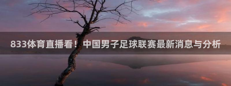 833体育直播看！中国男子足球联赛最新消息与分析