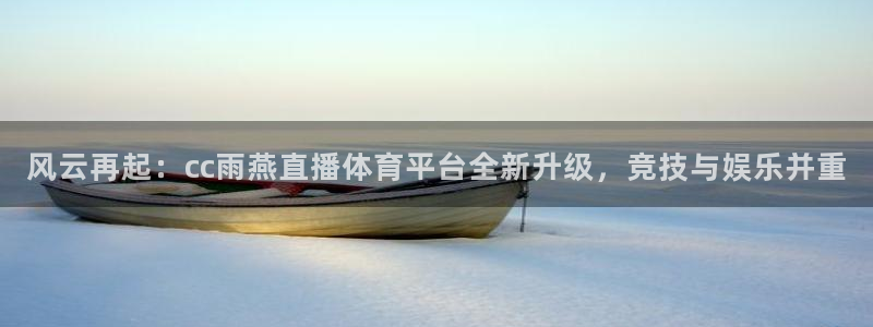 风云再起：cc雨燕直播体育平台全新升级，竞技与娱乐并重