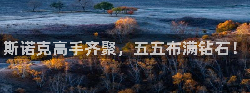 斯诺克高手齐聚，五五布满钻石！