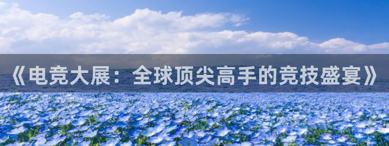 《电竞大展：全球顶尖高手的竞技盛宴》
