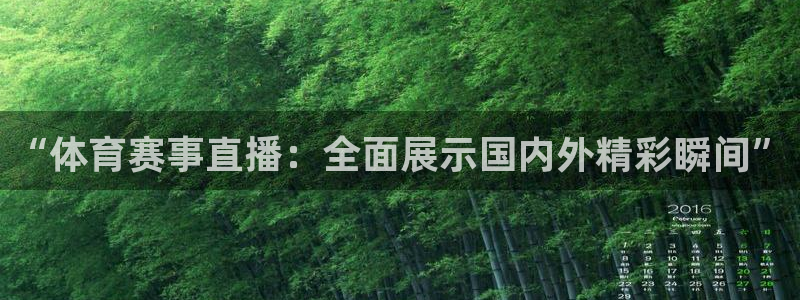 “体育赛事直播：全面展示国内外精彩瞬间”