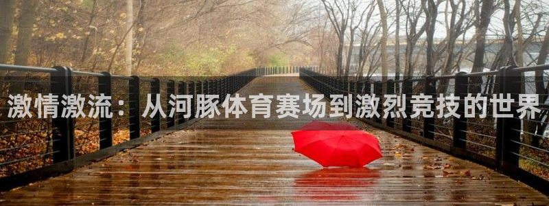 激情激流：从河豚体育赛场到激烈竞技的世界