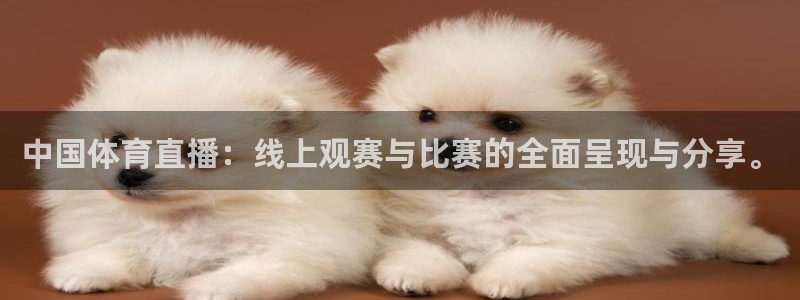 中国体育直播：线上观赛与比赛的全面呈现与分享。