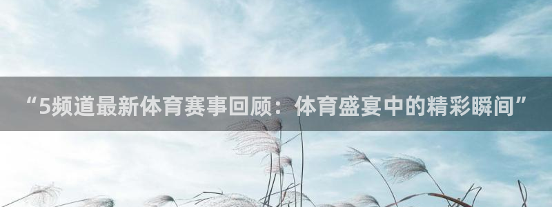 “5频道最新体育赛事回顾：体育盛宴中的精彩瞬间”